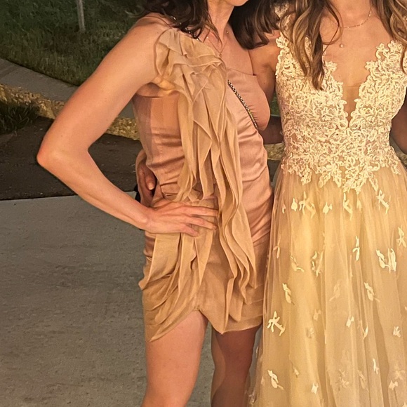 Pale pink, one shoulder BCBG dress - Picture 1 of 4